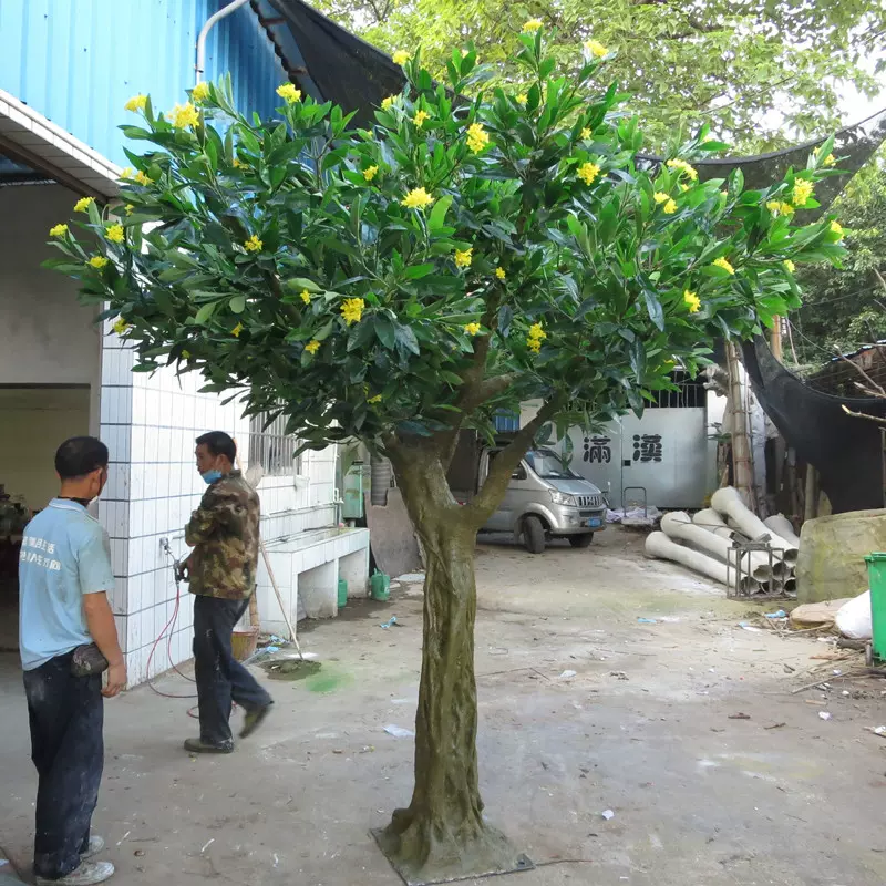 四季桂花树 新人首单立减十元 21年11月 淘宝海外