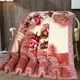 Blanket 2025 new thickened winter double-layer Raschel blanket quilt student dormitory single wedding velvet blanket