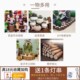 Handmade DIY gardening small wooden pile blind box base ornament log stump trunk photography props fireplace decoration

