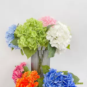 紫阳花绣球花 新人首单立减十元 22年8月 淘宝海外