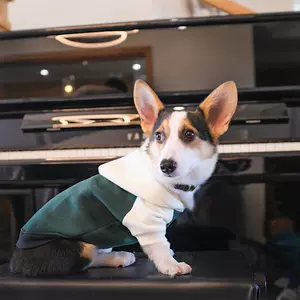 潮流小中型犬 新人首单立减十元 22年7月 淘宝海外