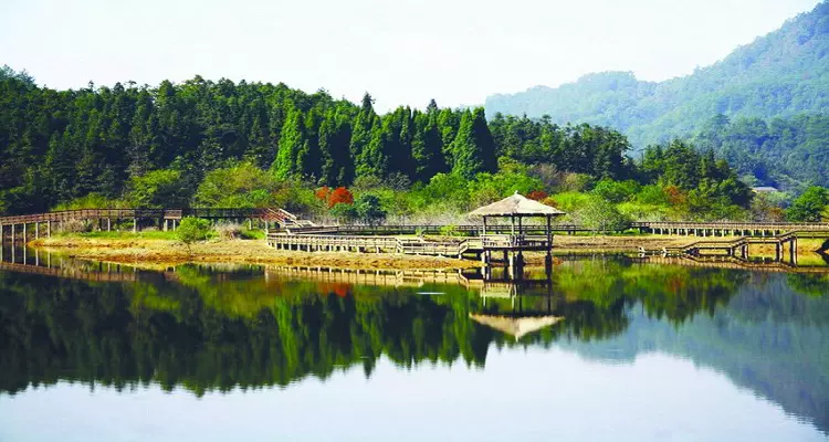 千岛湖龙川湾图片