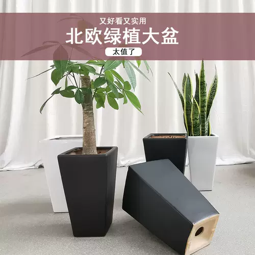 花器大号瓷盆 新人首单立减十元 22年2月 淘宝海外