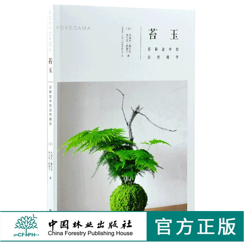 苔玉苔藓 新人首单立减十元 21年11月 淘宝海外