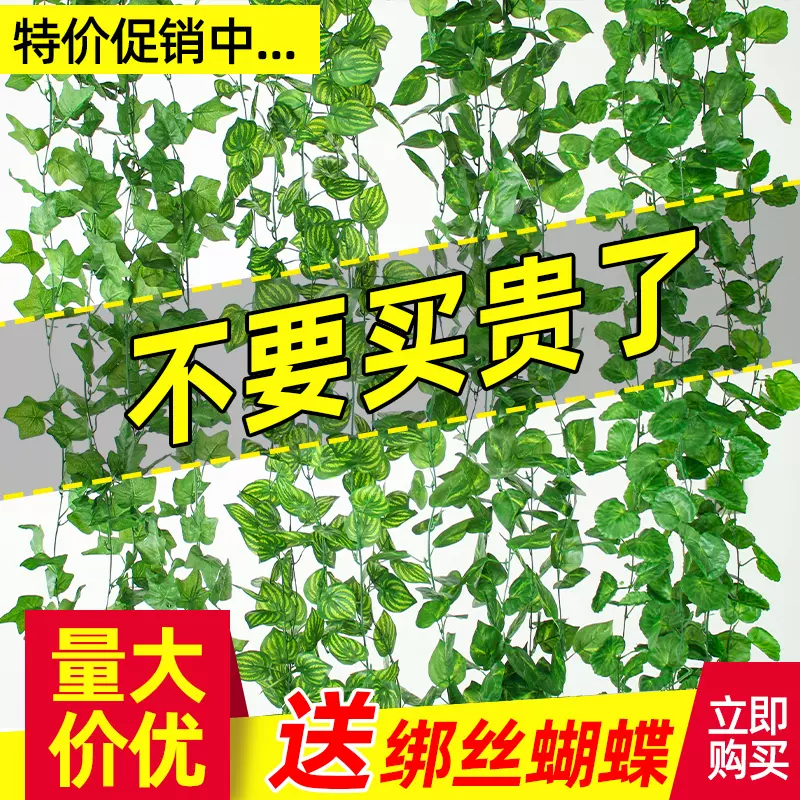 仿真藤条葡萄叶装饰假花藤蔓管道缠绕绿植吊顶树叶塑料 仿真藤条葡萄叶装饰假花藤蔓管道缠绕绿植吊顶树叶塑料