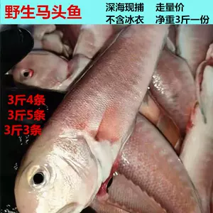 甘鯛 Top 41件甘鯛 22年11月更新 Taobao