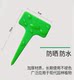 Plant label Gardening label T-shaped succulent label Colorful sign micro landscape waterproof floor sign