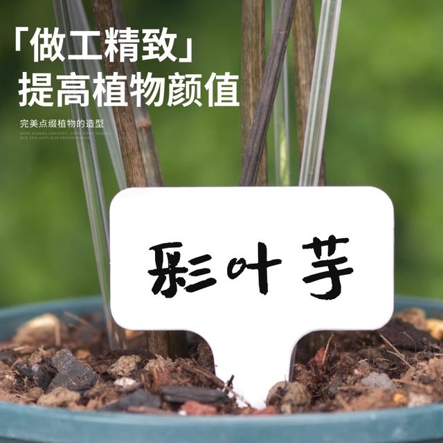 
Label gardening succulent identification flower green plant label plant name record waterproof plastic ground sign universal