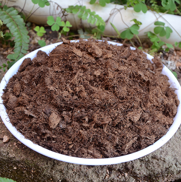 Danish Pin's peat soil imported pure peat soil succulent flowers green plants and flowers general organic nutrient soil