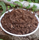 Danish Pin's peat soil imported pure peat soil succulent flowers green plants and flowers general organic nutrient soil