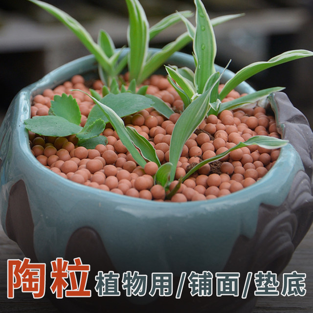 Colored ceramsite flowers with bottom pavement stone potted breathable hydroponic flowers succulent nutritious soil flower terracotta balls