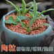 Colored ceramsite flowers with bottom pavement stone potted breathable hydroponic flowers succulent nutritious soil flower terracotta balls