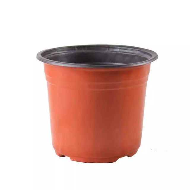 Double -color seedlings flower pot Nutrition bowl Plastic planting disposable cuttings thickened large cultivation strawberry succulent flower