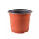 Double -color seedlings flower pot Nutrition bowl Plastic planting disposable cuttings thickened large cultivation strawberry succulent flower