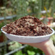 Decomposed pine bark bulk fermented pine phosphorus orchid cultivation substrate Dendrobium officinale special plant material orchid nutrient soil