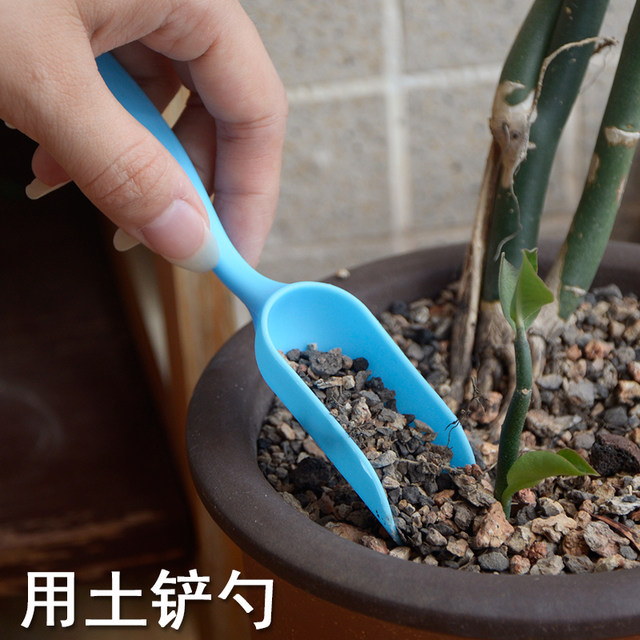 Gardening tool combination set for succulent planting with seedling transplanter bucket shovel rake brush air blowing potted flowers