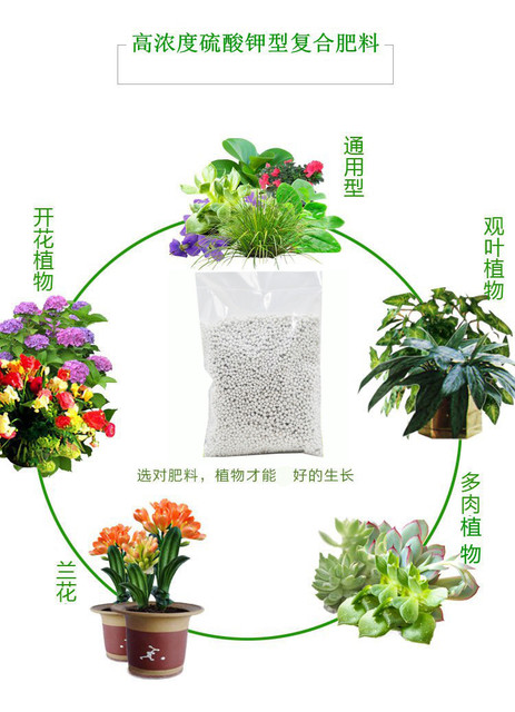 Flowers, vegetables, fruits, trees, phosphate fertilizer, fertilizer, flowering fertilizer, organic fertilizer, urea fertilizer, compound fertilizer, succulent fertilizer, gardening material
