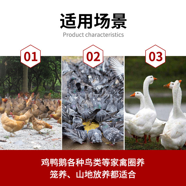 Breeding chicken drinking kettle poultry automatic water refueler material tank sink feed tank bucket water bucket duck goose pigeon water feeder
