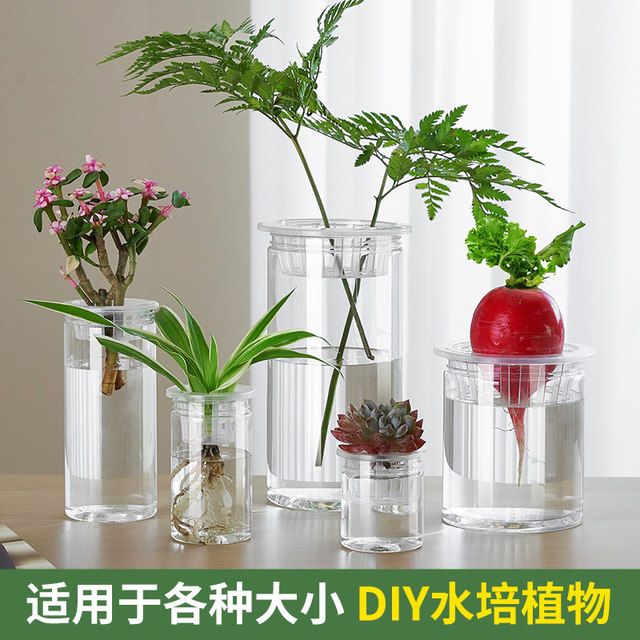Hydrophilic utensils plastic transparent cylindrical flower pot vegetable bean seeds meaty lychee sweet potato planting basket planting bottle