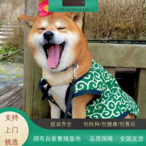 B9zl3rbq6y9w9m