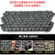 Suitable for Xindazhou Honda Jinfengrui set chain SDH125-49-50 sprocket chain sprocket size gear sprocket