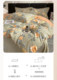 100% thickened cotton brushed quilt cover single piece pure cotton quilt cover 200X230 autumn and winter warm 220X240 double