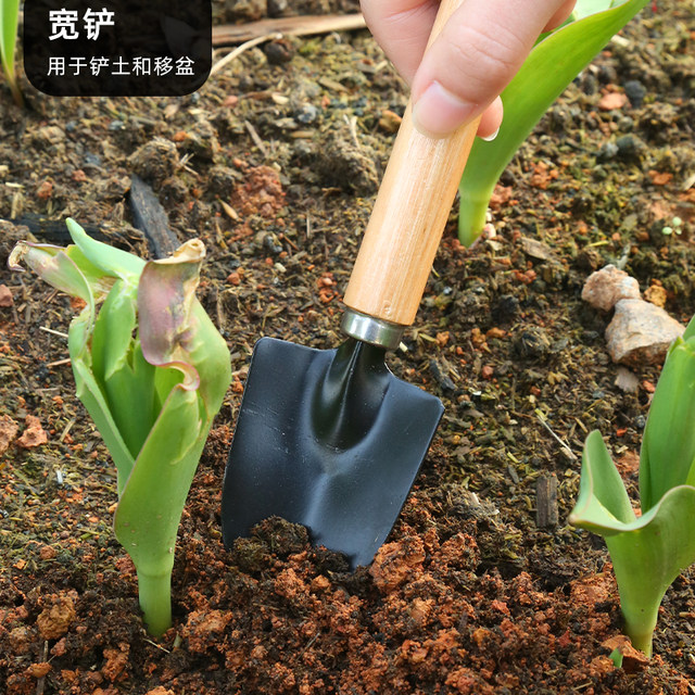 Flower planting tools household vegetable gardening gardening loose soil flower shovel potted flower arrangement planting tools three-piece set small shovel