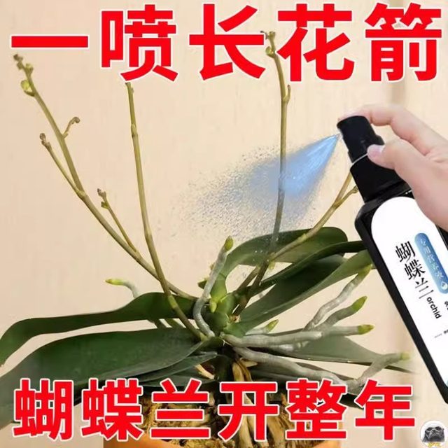 Phalaenopsis Arrow King Plant Nutritional Solution Flowering Sword Blossom Prevention of Yellow Leaf Orchid Special Fertilizer General Organic Fertilizer