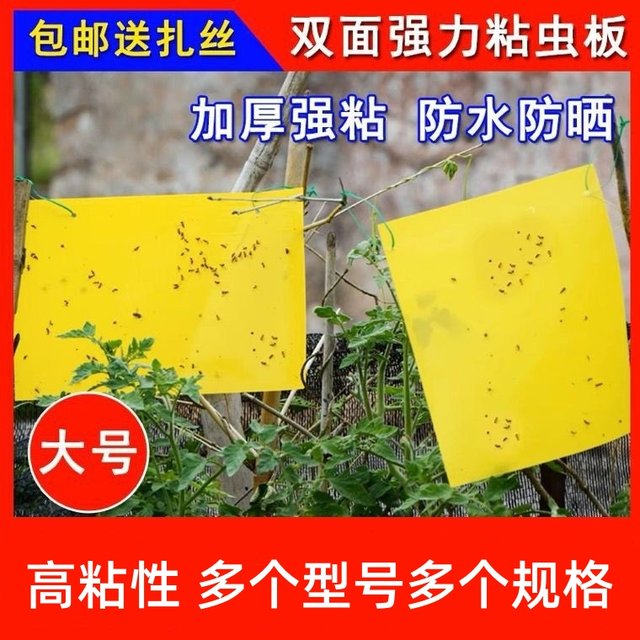 Yellow board double-sided sticky board insect trap blue board paper sticker yellow flying insect small black fly sticky fly trap sticky board moth