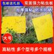 Yellow board double-sided sticky board insect trap blue board paper sticker yellow flying insect small black fly sticky fly trap sticky board moth