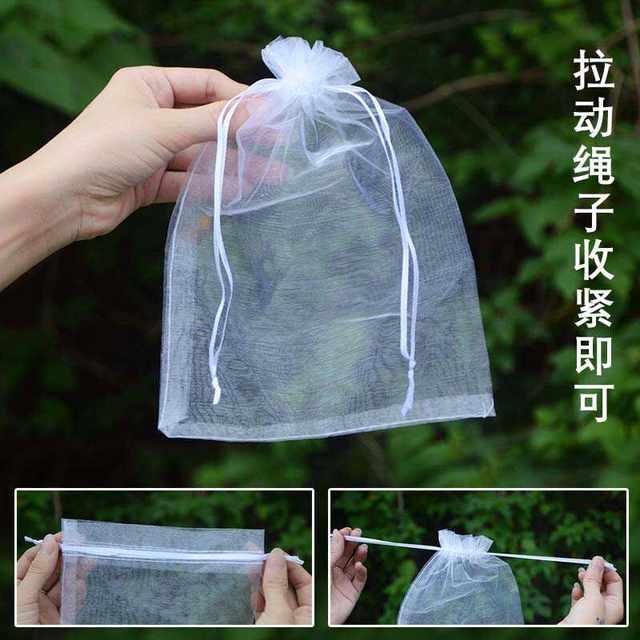 Fruit bag anti -bird net gauze insect -proof bag fruit tree fig grape peach strawberry protective bag fruit flies plantation
