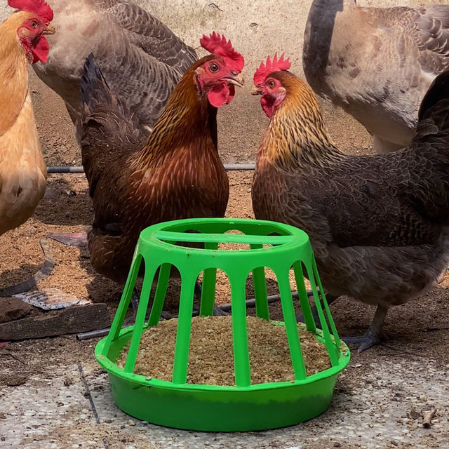 Feed trough for poultry breeding, large chicken trough, cooked glue, round chicken feeding trough, automatic drinking fountain for chickens