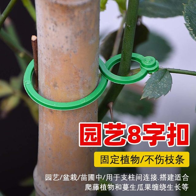 Cucumbers, tomatoes, beans, climbing vines, 8-character clips for green plants, vegetable bundles, vine fixing clips, garden tools, 8-character buckles, and 8-character clips