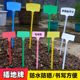 Flat inclined plastic large-sized floor horticulture label agricultural corn test ground mark indicator sign combination