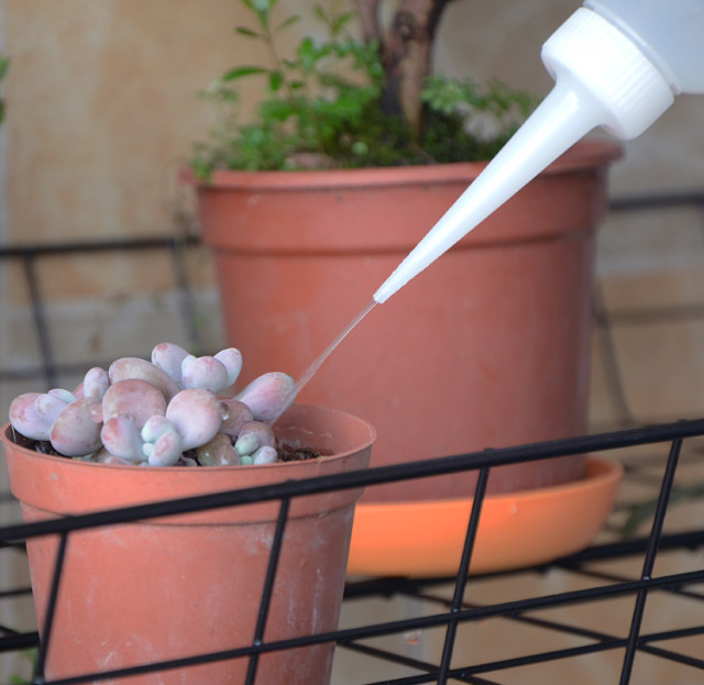 Pointed mouth curved mouth kettle squeeze water filling household flower watering kettle watering kettle meaty tool meaty watering kettle long mouth pot