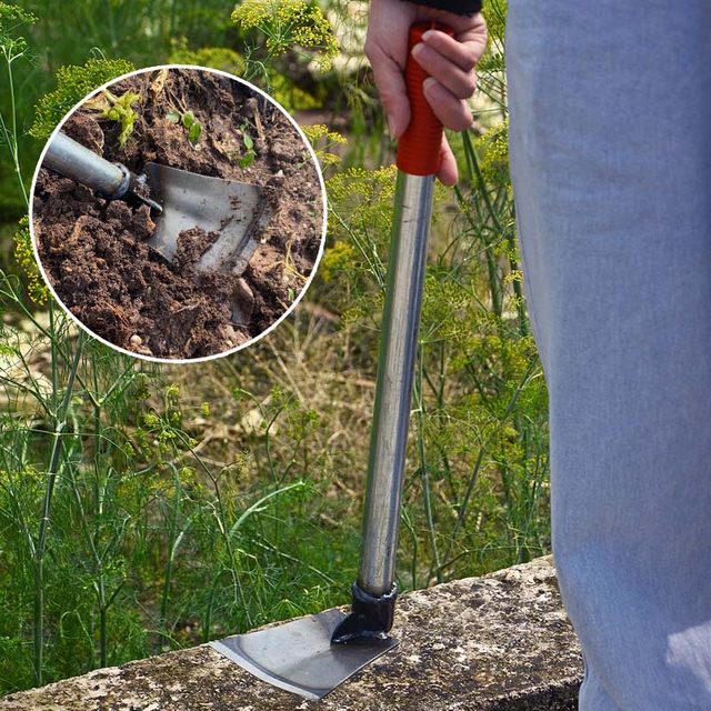 Household small gardening flowers, small digging outdoor agricultural tools, agricultural tools, weeding and digging of native vegetable seeds, flowers, small hoe
