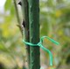 Comes with cutter wrapped gardening tainer line climbing vine tie garden wire wire iron wire wire bundle taus 50 meters rose rose
