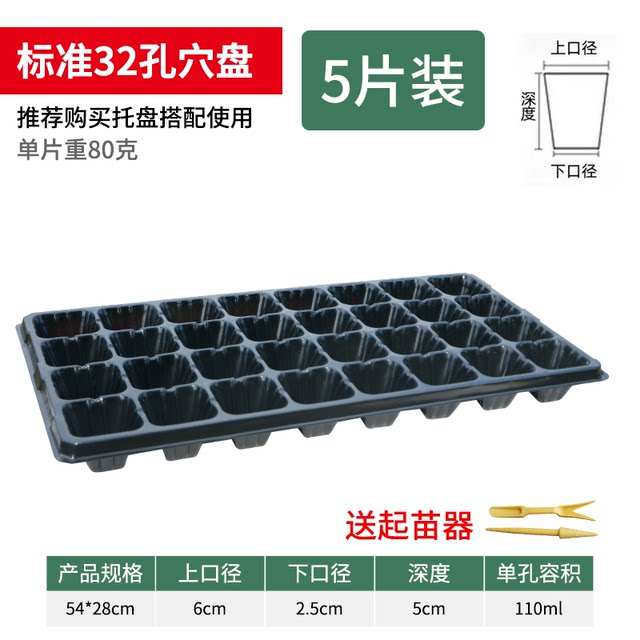 Thickened Darbon seedlings Cultivation Box Point Poor Poor Plant Nursery Box Cultivation Plastic Nutrition Basin Cutting