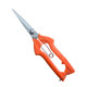 Sagawa field thin fruit picking scissors, fruit thinning, gardening twig saw, grapevine betel nut, orange citrus pruning shears