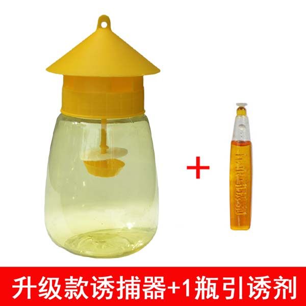 Fruit fly trap Fruit fly sexual attractant Trap agent Third generation potion Fruit fly water fruit fly tit forward citrus trap