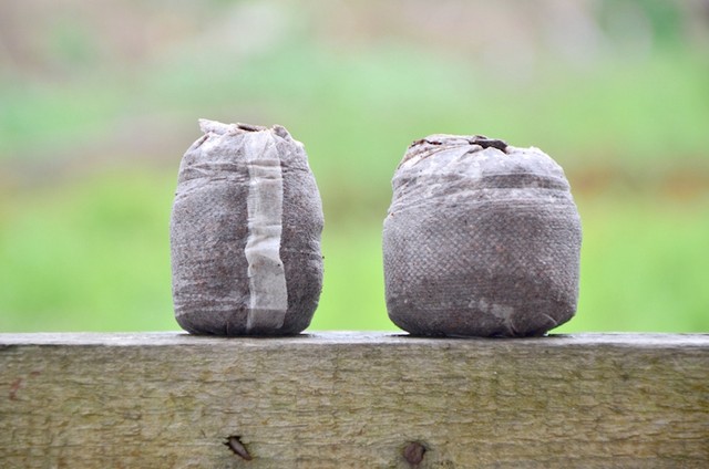 Maintenance blocks compressed nutritional foundation block peat gardening sowing soil vegetable flower succulent universal seedling box
