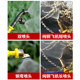 Agricultural electric sprayer spray rod accessories Pesticide sprayer sprayer manual universal telescopic fruit tree pill medicine rod
