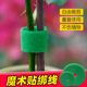 Climbing green plant strap shape Velcro decal garden with double-sided sticky gardening thread bundled support flower arrangement fixing
