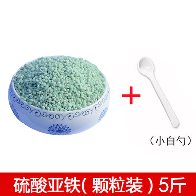 Ferrous sulfate granules flower fertilizer seven water green alum prevents flowers and yellow leaves general horticulture iron fertilizer to improve soil