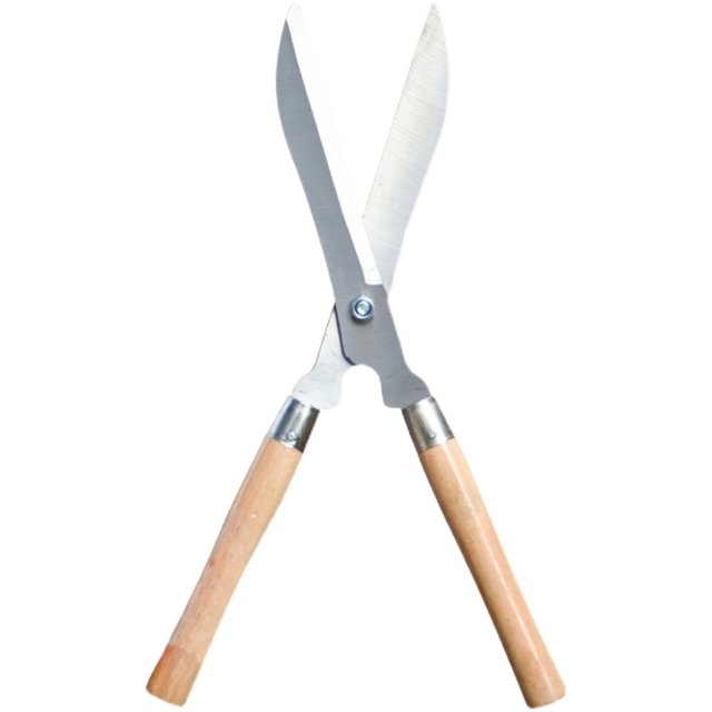 Gardening scissors lengthening large pruning and cutting flowers and plants greening household tools hedge garden pruning trees sharp branches and shears