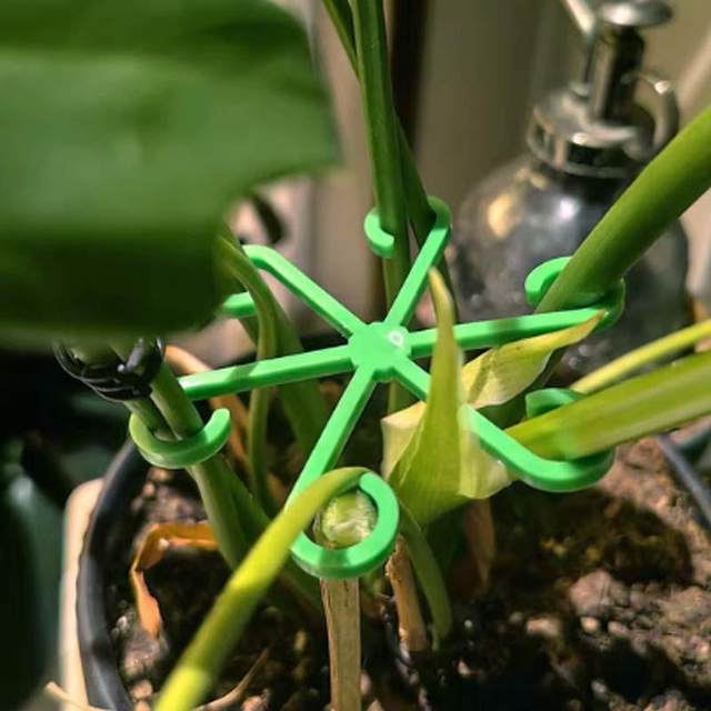 Monstera support pole flower support frame branch trunks plant anti-looping support green plant flower stand fixing tool
