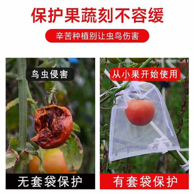 Fruit bag anti -bird net gauze insect -proof bag fruit tree fig grape peach strawberry protective bag fruit flies plantation
