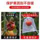 Fruit bag anti -bird net gauze insect -proof bag fruit tree fig grape peach strawberry protective bag fruit flies plantation
