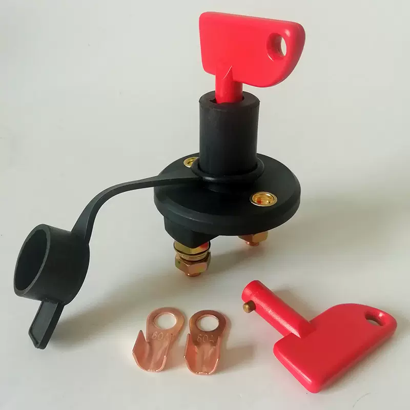 车用电源100v 新人首单立减十元 22年1月 淘宝海外 车用电源100v 新人首单立减十元 22年1月 淘宝海外