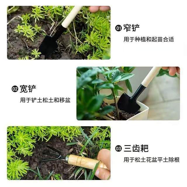 Gardening three-piece set of potted small shovel, garden small shovel, indoor flower potted loose soil, flower and vegetable planting tools